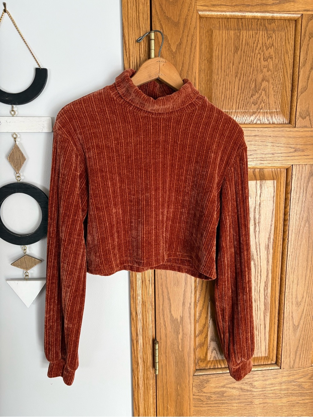 SHEIN Ribbed Velvet Mock Neck Cropped Long Sleeve Top - Rust